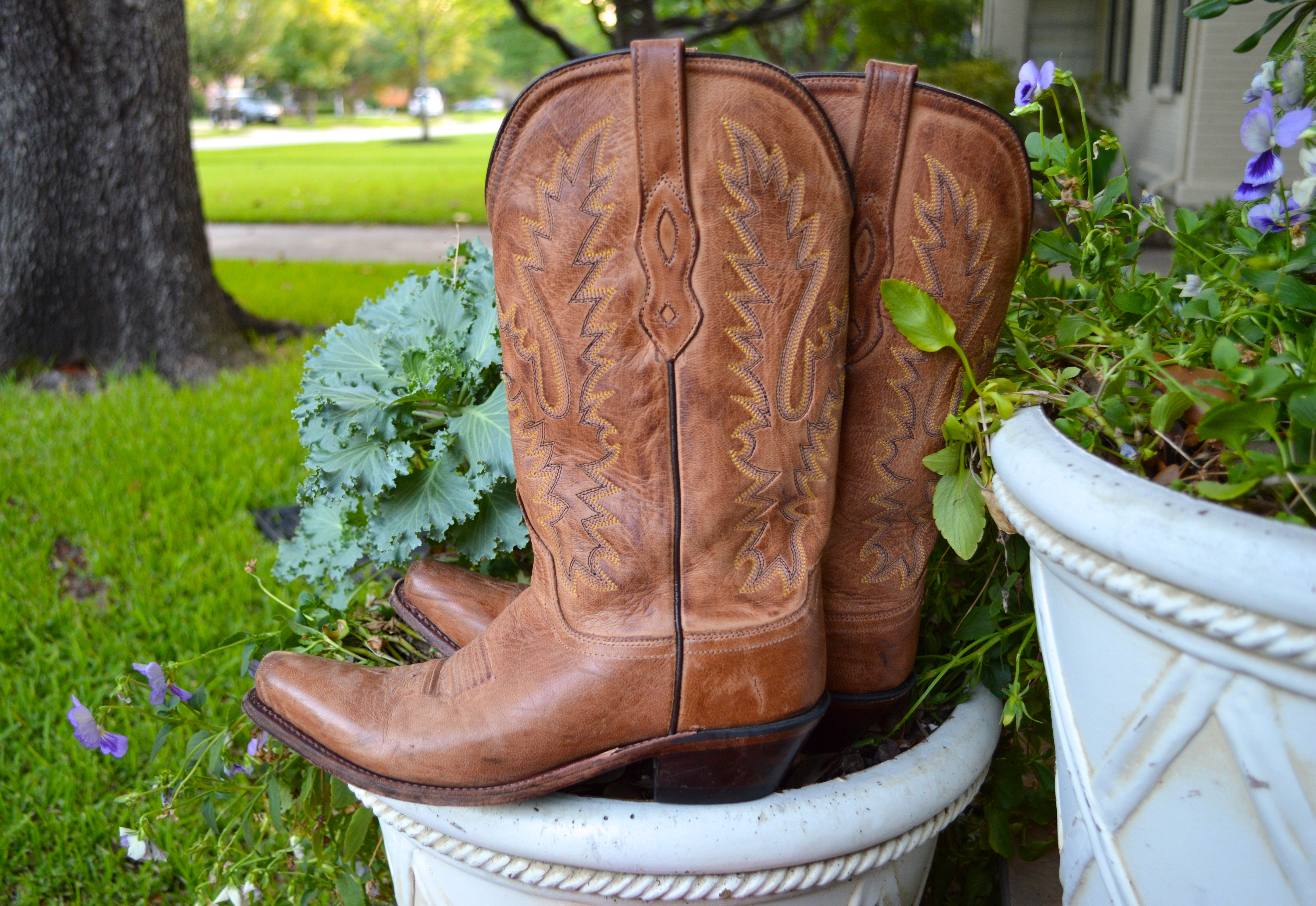 Lucchese Southern Cowboy Boots Preppy Style